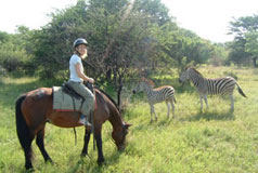 Family Horse-Riding safaris