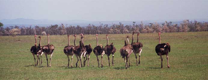 South Africa - Family specialist holidays to South Africa, Mauritius, The Middle East, The Seychelles, The Maldives & Morocco