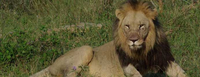 South Africa - Family specialist holidays to South Africa, Mauritius, The Middle East, The Seychelles, The Maldives & Morocco